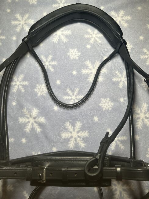 SD-Design Trense mit Ivy Horse Fashion Stirnriemen, SD-Design, Katharina , Bridles & Headstalls, Groß-Enzersdorf, Image 6