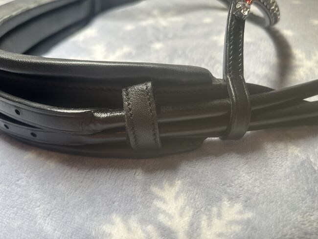 SD-Design Trense mit Ivy Horse Fashion Stirnriemen, SD-Design, Katharina , Bridles & Headstalls, Groß-Enzersdorf, Image 9