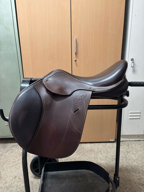 SeaBis Arona Pro, SeaBis, Suri, Jumping Saddle, Furth an der Triesting