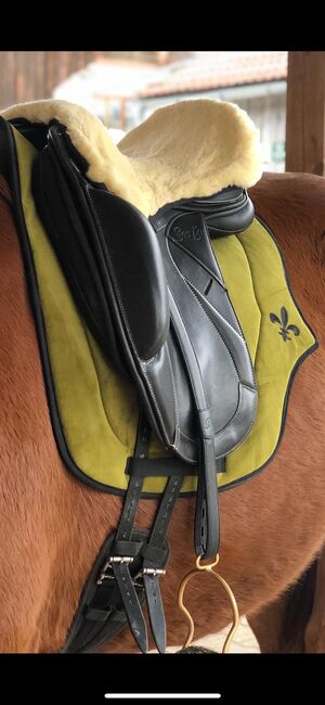 Seabis Asta Revolution Dressursattel 17,5“ - selbst anpassbar durch austauschbare Kopfeisen, Seabis Asta Revolution, Maria Honauer, Dressage Saddle, Steinhöring, Image 15