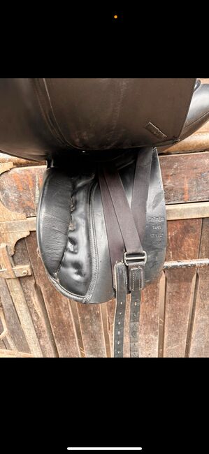 Seabis Dressursattel, Seabis   Calaja , Jay Berkoh, Dressage Saddle, Hamburg Othmarschen, Image 3