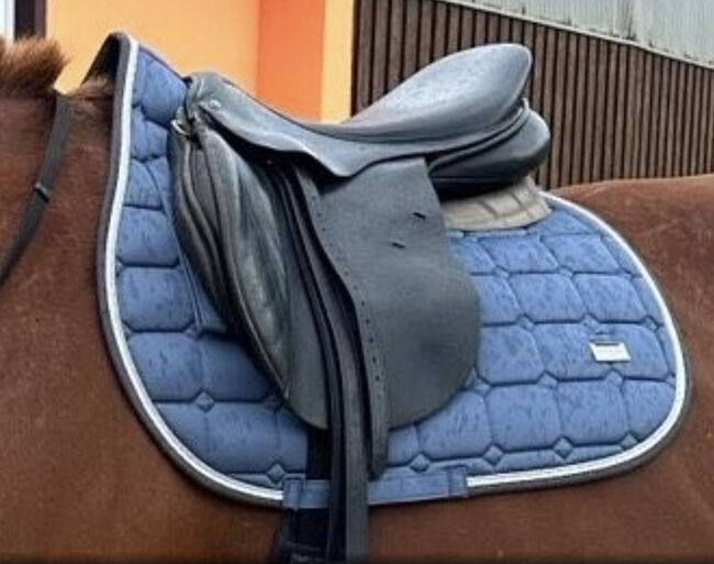 SeaBis Springsattel Aachen 17,5“, SeaBis Aachen, Laura, Jumping Saddle, Kleinmachnow