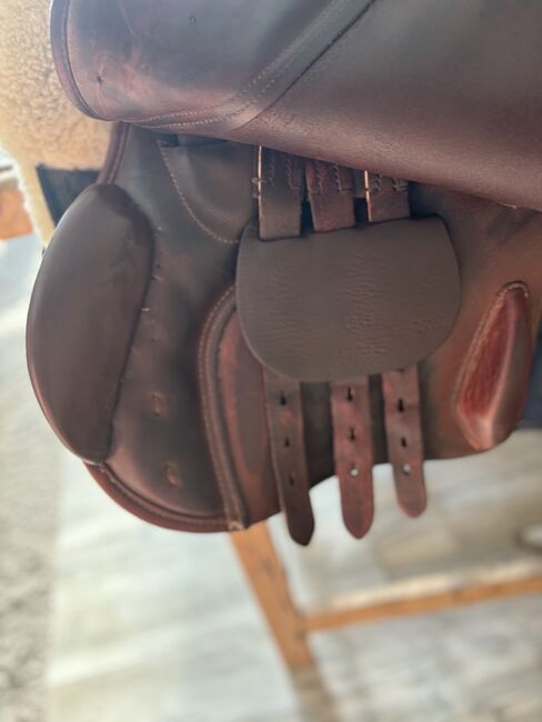 Seabis Utah Springsattel, Seabis Utah , Denise , Jumping Saddle, Nettetal, Image 5
