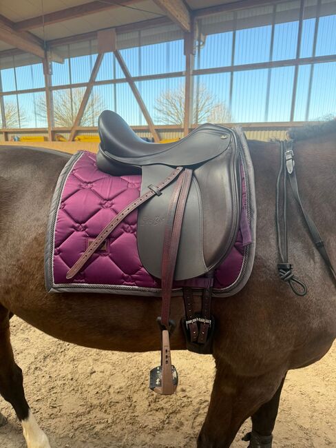 SEABIS Zamora Pro 17 Zoll- braun Dressursattel, Seabis Zamora Pro, Lara Beck, Dressage Saddle, Weingarten