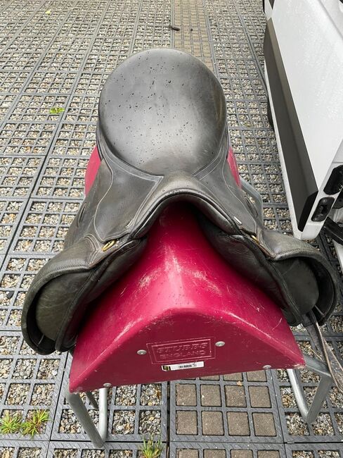 Seabis Carina, Seabis Carina , Johanna , Dressage Saddle, Schwarzenberg, Image 2