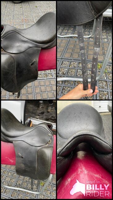 Seabis Carina, Seabis Carina , Johanna , Dressage Saddle, Schwarzenberg, Image 13