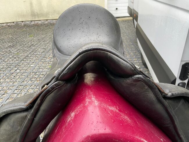 Seabis Carina, Seabis Carina , Johanna , Dressage Saddle, Schwarzenberg, Image 8
