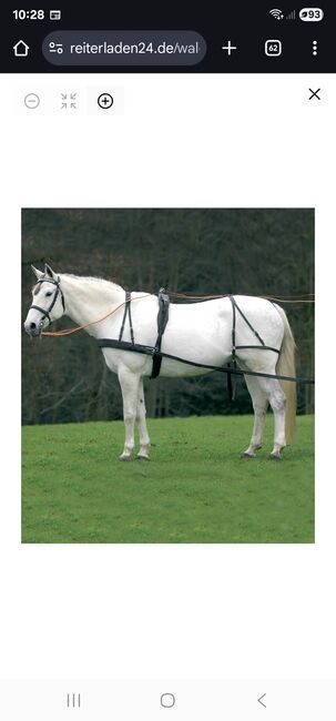 SUCHE Einspännergeschirr gebraucht, Waldhausen Economic, Katharina Neumaier, Horse Harness, München