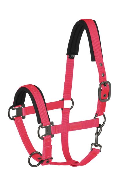 Suche Eskadron Reflexx Pink 2021 (VB/S/M/125cm), Eskadron Reflexx Pink 2021, Jenny, Halters, Oyten