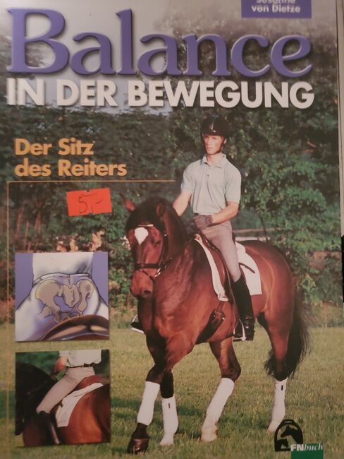 Der Sitz des Reiters, Jeanette Ziesmer , Books, Waghäusel