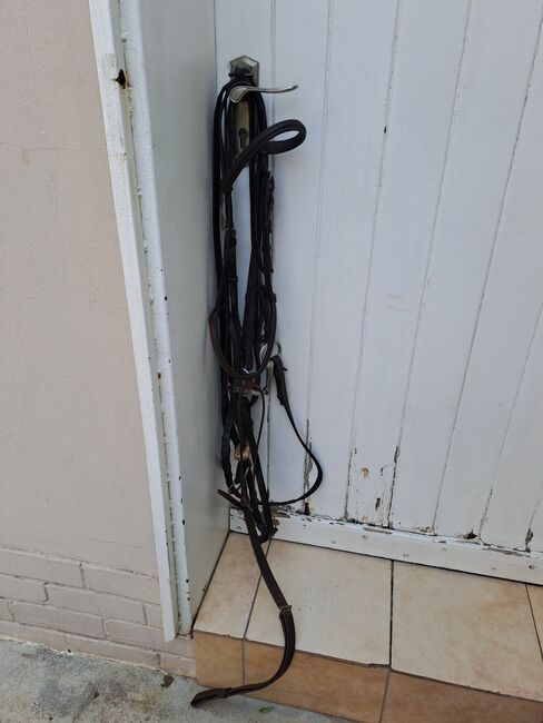 Second hand bridle with snaffle, Sagorin, Tanya Shapiro, Bridles & Headstalls, Sandringham Johannesburg