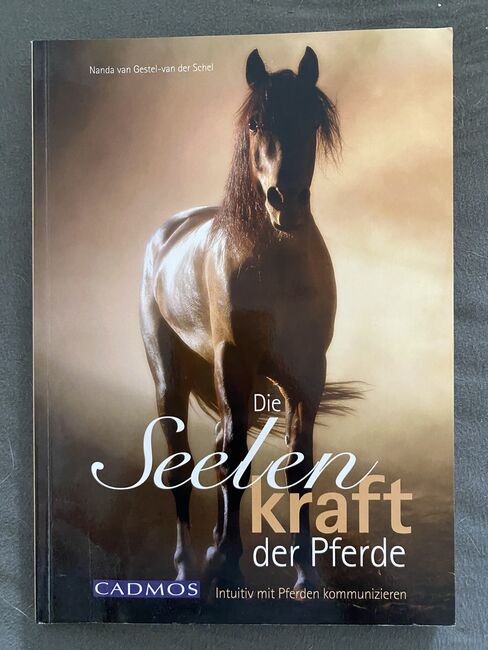 Die Seelenkraft der Pferde: Intuitiv mit Pferden kommunizieren, Dani, Bücher, Greiling 