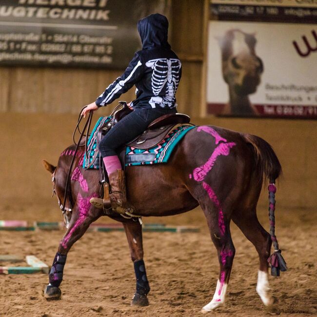 sehr coole und talentierte Paint Horse Stute, Kerstin Rehbehn (Pferdemarketing Ost), Pferd kaufen, Nienburg, Abbildung 3