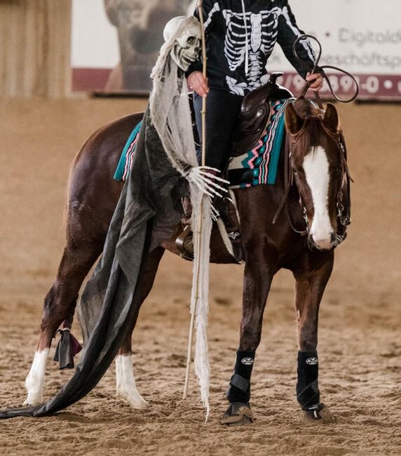 sehr coole und talentierte Paint Horse Stute, Kerstin Rehbehn (Pferdemarketing Ost), Pferd kaufen, Nienburg, Abbildung 6