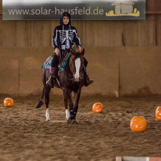 sehr coole und talentierte Paint Horse Stute, Kerstin Rehbehn (Pferdemarketing Ost), Pferd kaufen, Nienburg, Abbildung 7