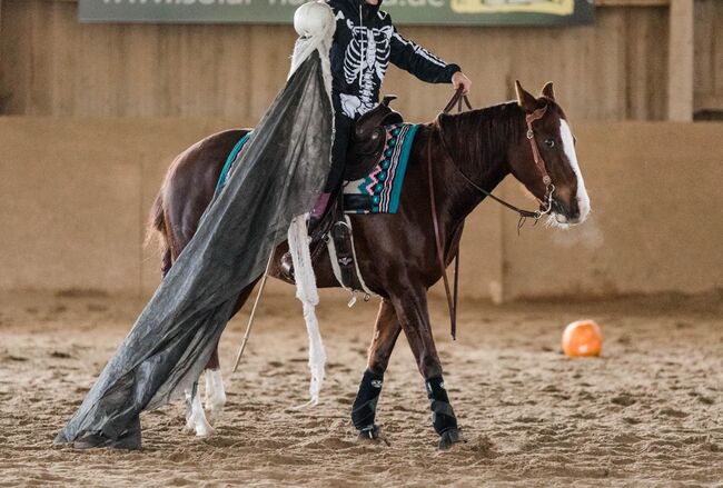 sehr coole und talentierte Paint Horse Stute, Kerstin Rehbehn (Pferdemarketing Ost), Pferd kaufen, Nienburg, Abbildung 12