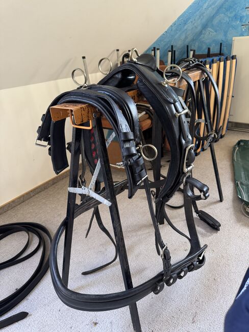 Einspänner Brustblattgeschirr, Karla Prokop, Horse Harness, Bad Oldesloe 