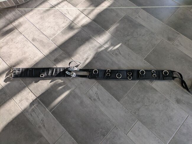 Longiergurt, Elke Sänger , Lunging, Steinweiler 