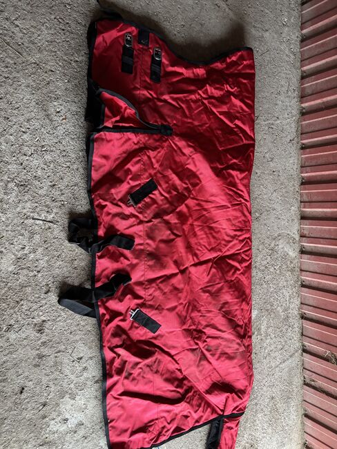 Verkaufe eine Winterdecke neu 145cm HighNeck, Theresa Schmidt, Horse Blankets, Sheets & Coolers, Freiland bei Deutschlandsberg