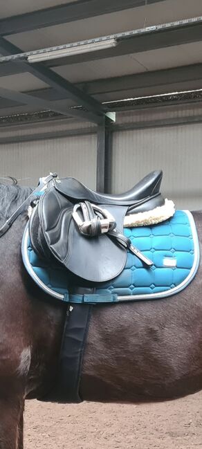 Verkaufe neuwertigen Vielseitigkeitssattel 17 Zoll, Bagual Chaco, Yvonne, All Purpose Saddle, Eulatal