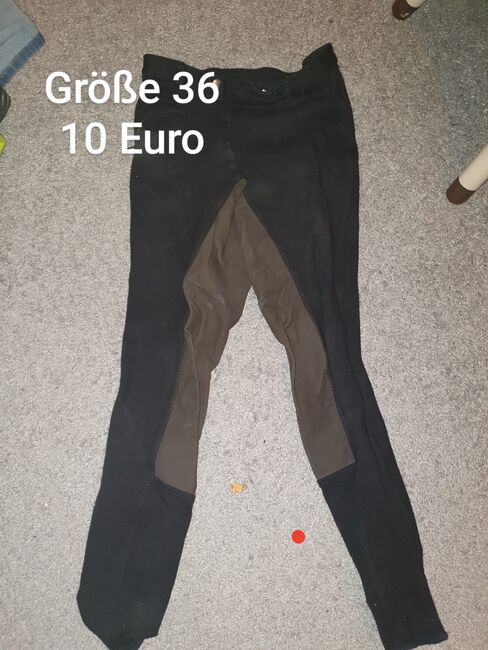 Verkaufe reithose, Mici, Breeches & Jodhpurs, Auufer