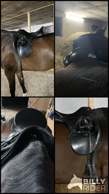 Verkaufe Dressursattel der Marke Passier, Passier Corona I, Franziska , Dressage Saddle, Bad Schwartau , Image 5