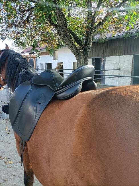 Verkaufe Dressursattel Tech1, Tech1, Angelika, Dressage Saddle, Schwetzingen , Image 8