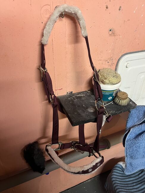 Verkaufe Halfter, Showmaster  Chrismas Collection Halfter , Lisa , Halters, Mutlangen