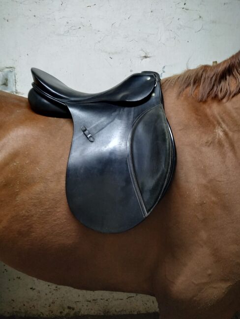 Verkaufe Passier PSP Dressursattel, Passier PSP, Celina Koch, Dressage Saddle, Hamburg, Image 2