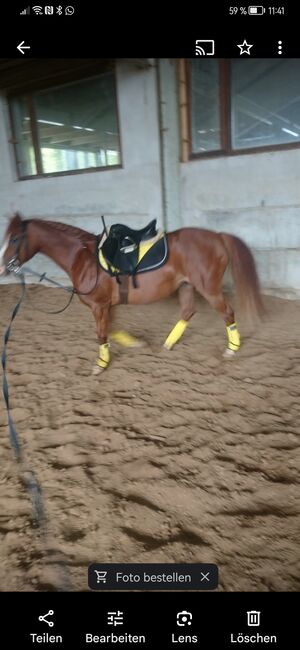 Verkaufe dieses set, Saskia , Dressage Pads, Römhild , Image 3