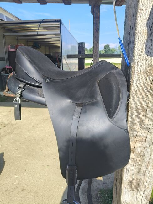 Sella Ghost modello Roma, Ghost Roma, Noemi, Treeless Saddle, Bertolla Barca