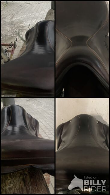 Selleria Equipe Expression Springsattel 17,5“ braun, Selleria Equipe Expression, KDU, Jumping Saddle, Bergheim, Image 12