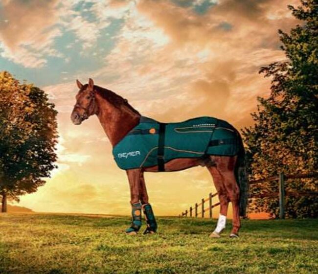 Verkaufe mein Bemer Horse Set ( Bild dient zur Aufmerksamkeit), Bemer Horse Set , Sandra, Horse Blankets, Sheets & Coolers, Hohen Neuendorf 