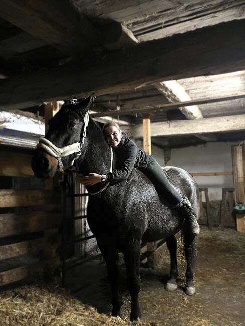 Verkaufe Schweren Herzens meine Stute, Jasmin , Horses For Sale, Breitenau , Image 6