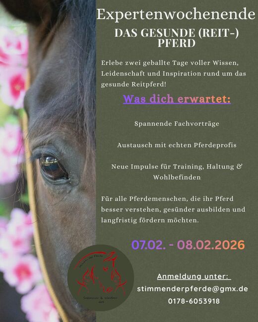 Seminarwochenende, Expertenwochenende "Das gesunde (Reit-) Pferd", Lisa Walther , Kurse & Seminare  , Aitrang