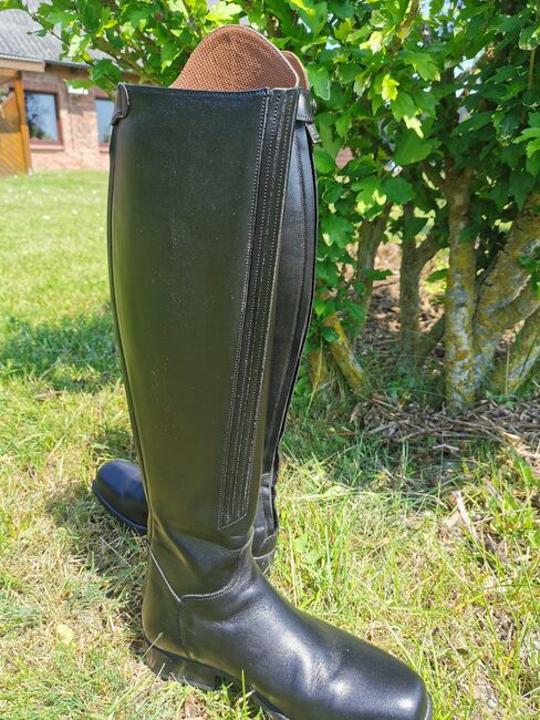 Sergio Grasso Reitstiefel, Sergio Grasso Arezzo Young, Corinna Evers, Riding Boots, Lensahn, Image 3