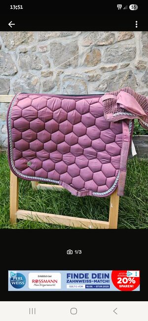Set Felix Bühler Rosa, Felix Bühler , Bemer Partnerin Maria Höltge, Dressage Pads, Halberstadt