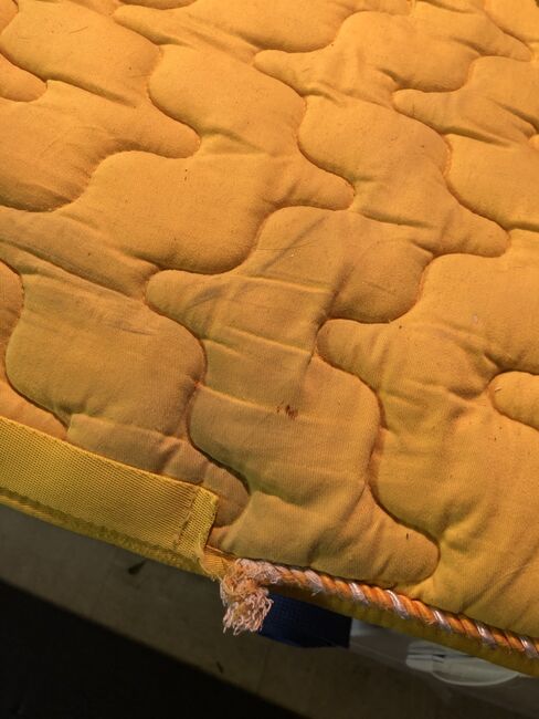 Schabracke und Bandagen Set in Gelb, Anita, Dressage Pads, Ratingen, Image 2