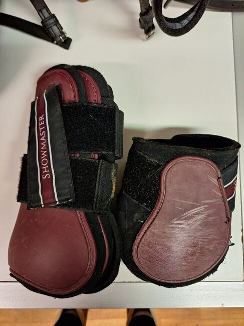 Hartschalengamaschen Set, Showmaster , Fam. Eiter, Tendon Boots, Jerzens