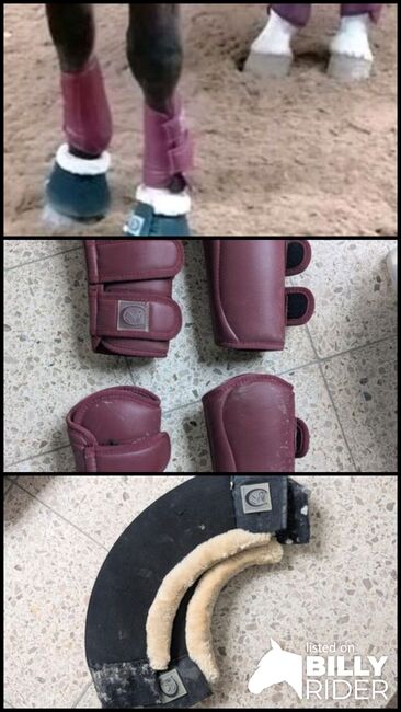 Set gamaschen Hufglocken, Powerhorse, Tendon Boots, Ziemetshausen, Image 4