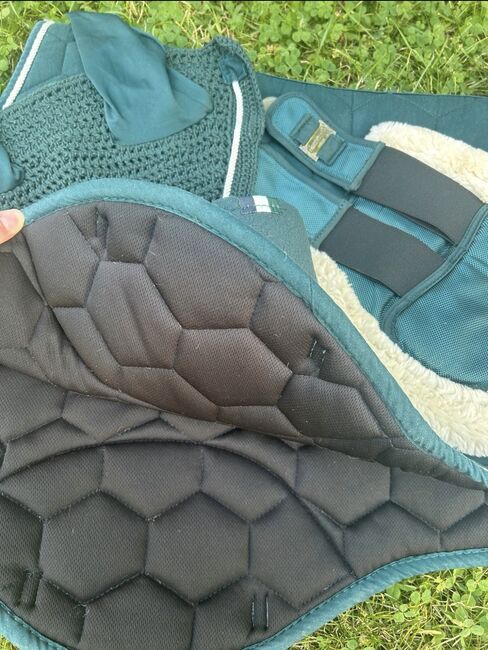 Set Olivgrün Schabracke Fliegenhaube Bandagen Gamaschen VS/FULL, Felix Bühler, Schumann, Dressage Pads, Frankenberg, Image 5