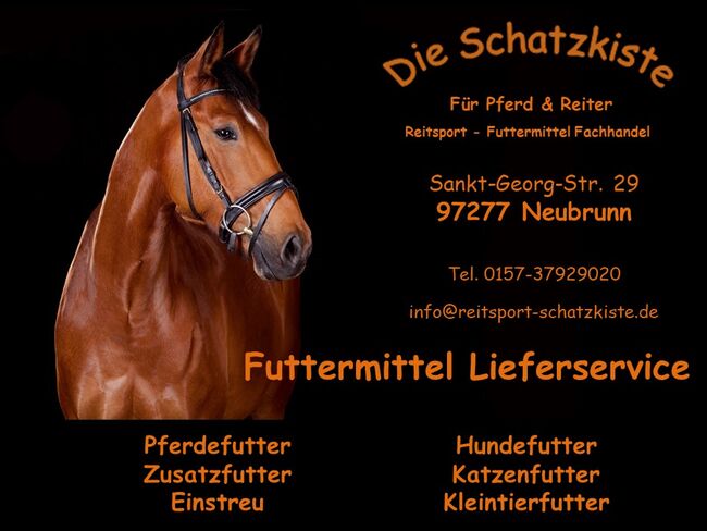 2er Set EQUIPAGE Turniershirt *NEU* (UVP 69,98€), EQUIPAGE  Brisbane, Die Schatzkiste für Pferd & Reiter (Die Schatzkiste für Pferd & Reiter), Show Apparel, Neubrunn, Image 6