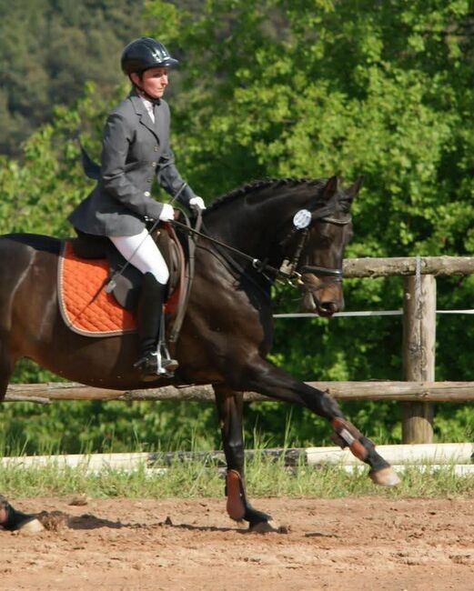 Set für Training, Turnier Dressur und Springen, Karin , Other, Wattenheim, Image 6