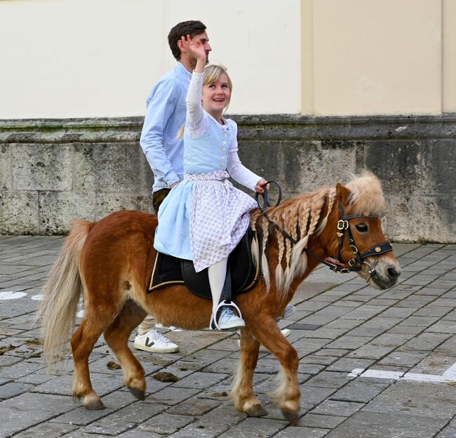 Shetland Pony sucht, Adriane Schmedemann Reitschule, Horses For Sale, Schonstett , Image 6