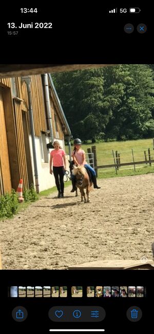 Shetland Pony sucht, Adriane Schmedemann Reitschule, Horses For Sale, Schonstett , Image 5