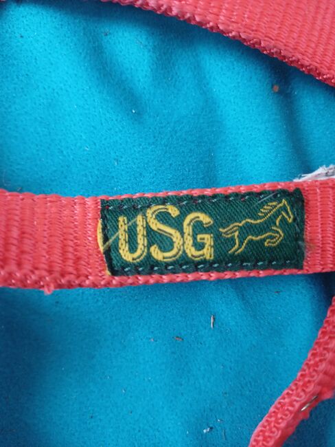 Shetty halfter und strick, Usg Halfter, Enja, Halters, Seewen SZ, Image 3