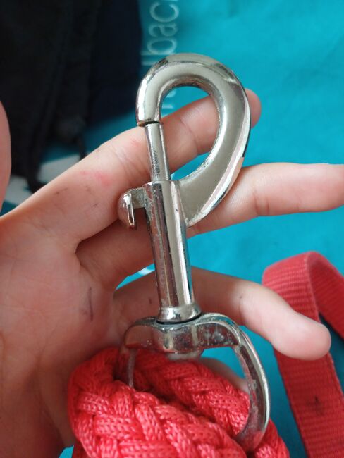 Shetty halfter und strick, Usg Halfter, Enja, Halters, Seewen SZ, Image 4