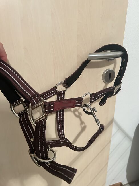 Shetty Halfter - wie neu da kaum genutzt, Equiva, Romi, Halters, Königsbrunn , Image 2