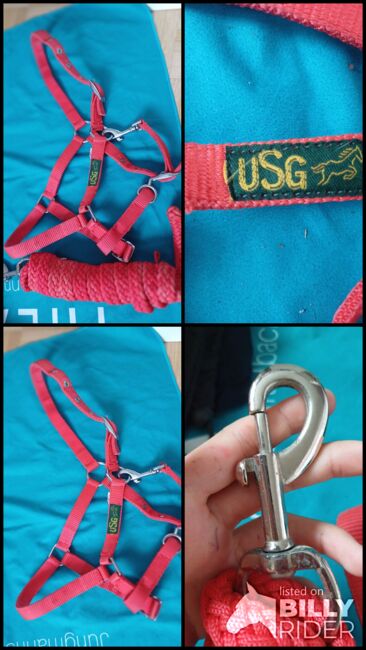 Shetty halfter und strick, Usg Halfter, Enja, Halters, Seewen SZ, Image 5