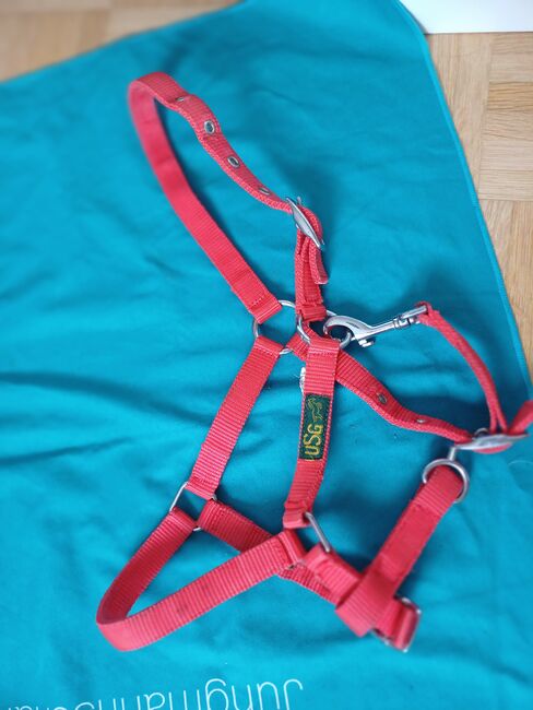 Shetty halfter und strick, Usg Halfter, Enja, Halters, Seewen SZ, Image 2